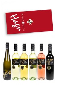 Karton vybraných vín ze špičkového vinařství HAGN z rakouského Mailbergu